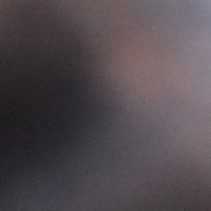 Meet your Posher, Nina